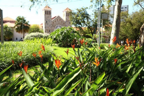 Prefeitura segue com limpeza e jardinagem e dá 'vida nova' aos espaços públicos
