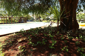 Prefeitura segue com limpeza e jardinagem e dá 'vida nova' aos espaços públicos