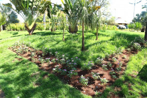 Prefeitura segue com limpeza e jardinagem e dá 'vida nova' aos espaços públicos