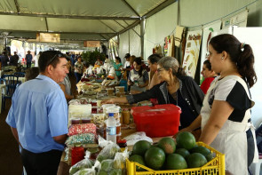 Agricultura Familiar de Dourados é destaque na Tecnofam
