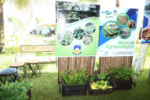 Agricultura Familiar de Dourados é destaque na Tecnofam