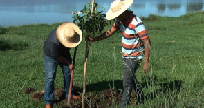Imam recebe indicações ao  prêmio Troféu Marco Verde