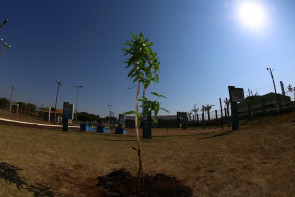 Imam recebe indicações ao  prêmio Troféu Marco Verde