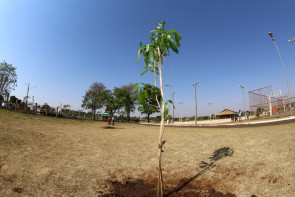 Prorrogado período de indicações  ao Troféu Marco Verde 2018