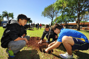 Prorrogado período de indicações  ao Troféu Marco Verde 2018