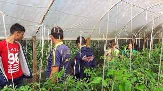 A visita dos adolescentes aconteceu em sítio que mantém produção orgânica em Dourados