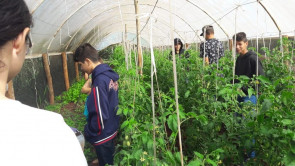 Ação no Cras Vila Vargas promove visita  a sítio que mantém produção orgânica