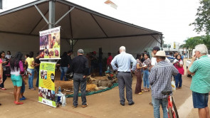 Imam convida população para ação  no Dia Mundial do Meio Ambiente