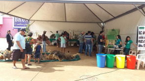 Imam convida população para ação  no Dia Mundial do Meio Ambiente