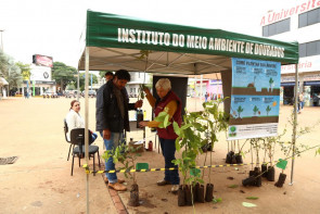 No dia do meio ambiente, Prefeitura  faz ação na Praça Antônio João