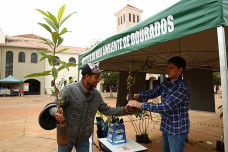 Imam distribuiu mudas na Praça Antônio João para lembrar o dia Mundial do Meio Ambiente