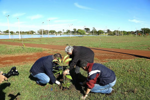 Várias espécies de mudas foram plantadas na manhã desta sexta-feira no Parque Antenor Martins