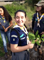 27º Mutirão Nacional Escoteiro de Ação Ecológica