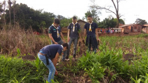 27º Mutirão Nacional Escoteiro de Ação Ecológica