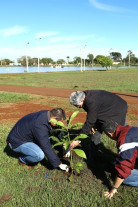 27º Mutirão Nacional Escoteiro de Ação Ecológica