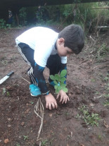 27º Mutirão Nacional Escoteiro de Ação Ecológica