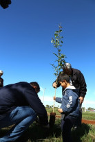27º Mutirão Nacional Escoteiro de Ação Ecológica