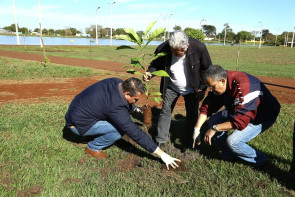 27º Mutirão Nacional Escoteiro de Ação Ecológica