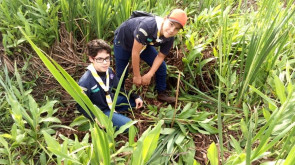 27º Mutirão Nacional Escoteiro de Ação Ecológica