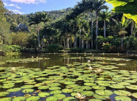 Isis Valverde se casou-se  com André  Resende em uma cerimônia linda; Veja fotos