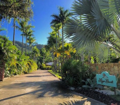 Isis Valverde se casou-se  com André  Resende em uma cerimônia linda; Veja fotos