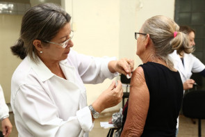 Campanha de vacinação contra a gripe entra nos últimos dias