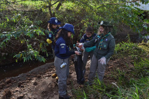 Grupo Escoteiro Laranja Doce faz mutirão ecológico em Dourados