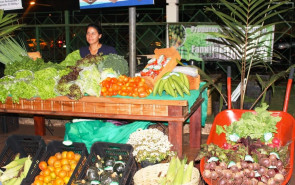 1º FESTIVAL TERRA VERMELHA  Agricultura Familiar expõe produção agroecológica