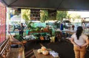 1º FESTIVAL TERRA VERMELHA  Agricultura Familiar expõe produção agroecológica