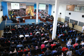 Escritora Ruth Hellmann recebe prêmio durante sessão da Câmara de Dourados
