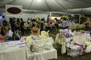 II Flido terá shows, peças teatrais e debates promovendo o cenário literário douradense