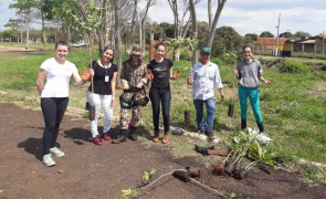 No Dia da Árvore, Imam, acadêmicos e PMA plantam  80 mudas às margens de córrego no Rego D'Água