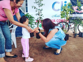 No Dia da Árvore, Imam, acadêmicos e PMA plantam  80 mudas às margens de córrego no Rego D'Água