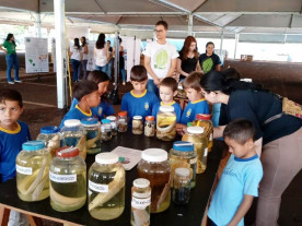 Visitação de alunos das redes de ensino na XXI Eco Dourados ultrapassa centenas