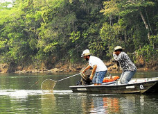 Fechamento do período de pesca em MS