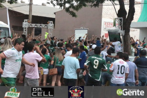 Palmeiras conquista campeonato brasileiro depois de 22 anos