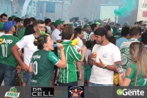 Palmeiras conquista campeonato brasileiro depois de 22 anos