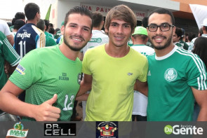 Palmeiras conquista campeonato brasileiro depois de 22 anos