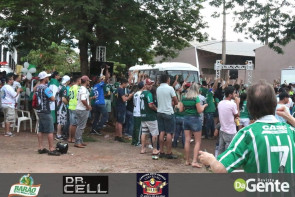 Palmeiras conquista campeonato brasileiro depois de 22 anos