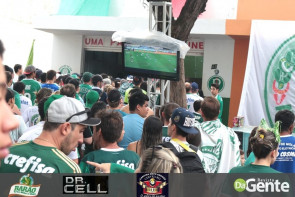 Palmeiras conquista campeonato brasileiro depois de 22 anos