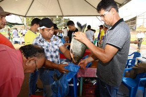 15 ª Festa do Peixe de Dourados será de 17 a 21 de abril