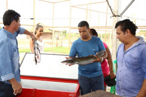 15 ª Festa do Peixe de Dourados será de 17 a 21 de abril