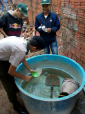Prefeitura de Dourados tem realizado mutirões de limpeza nos bairros para conter avanço do Aedes aegypti