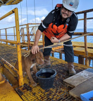 Cachorro foi resgatado no mar