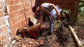 No Centro da cidade, cobertura da ação ‘Sábado sem Mosquito’