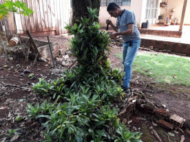No Centro da cidade, cobertura da ação ‘Sábado sem Mosquito’