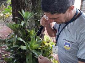 No Centro da cidade, cobertura da ação ‘Sábado sem Mosquito’