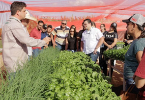 Oficinas do Projeto Fazendinha levam capacitação ao pequeno produtor