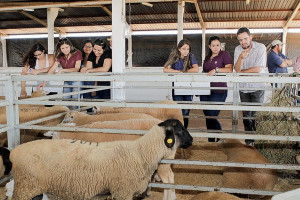 Acesso do público ao parque de exposições é gratuito em dias sem show musical