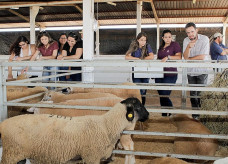 Acesso do público ao parque de exposições é gratuito em dias sem show musical